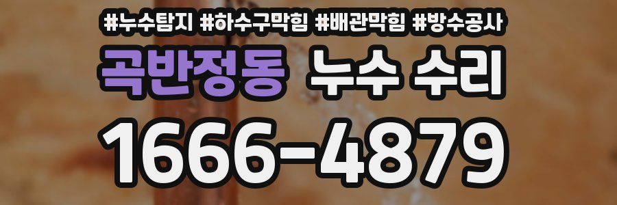 곡반정동 누수 수리