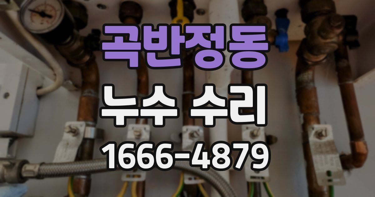 곡반정동 누수 수리