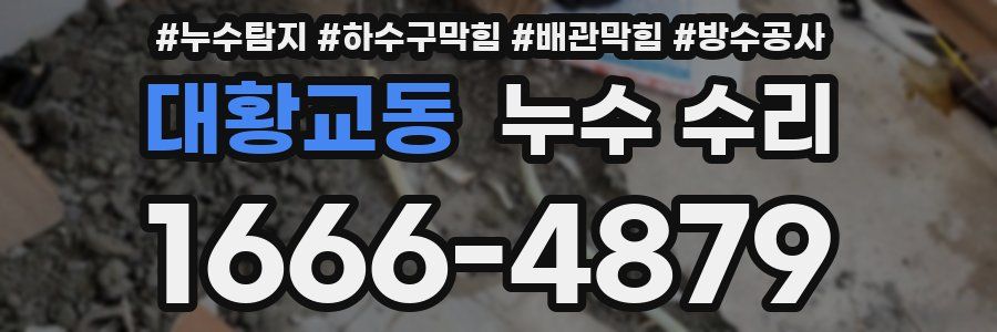 대황교동 누수 수리
