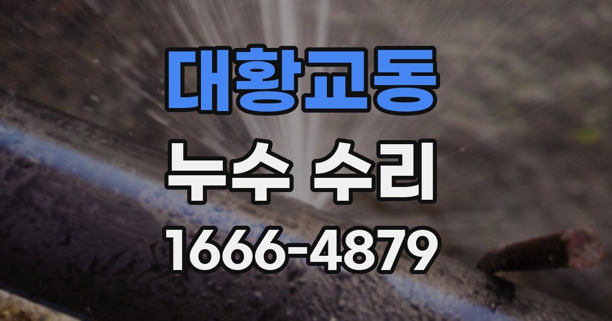 대황교동 누수 수리