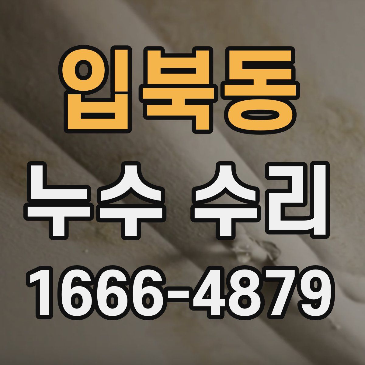입북동 누수 수리