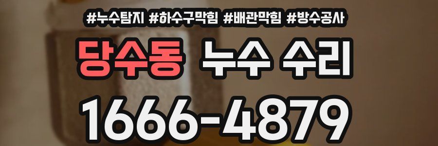 당수동 누수 수리