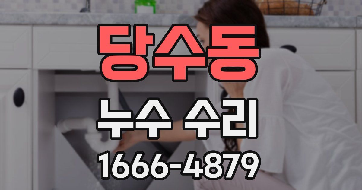 당수동 누수 수리