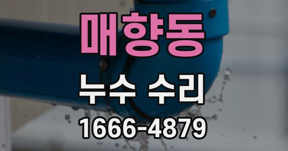 매향동 누수 수리