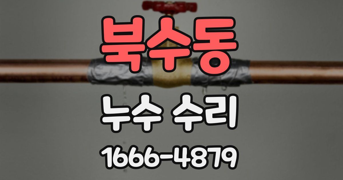 북수동 누수 수리
