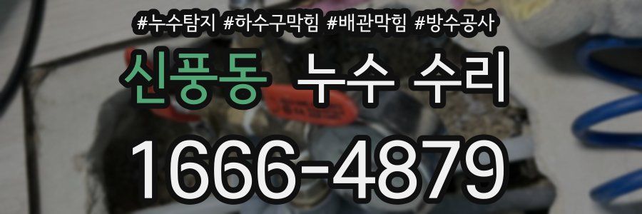 신풍동 누수 수리