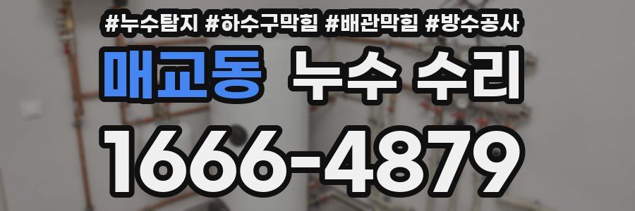 매교동 누수 수리