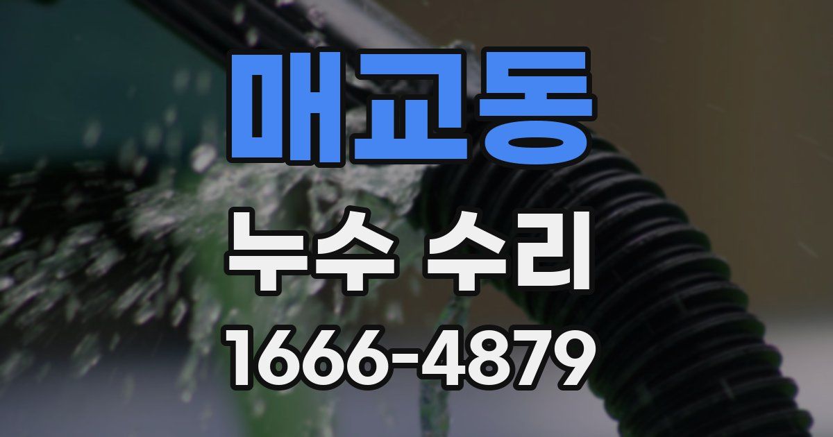 매교동 누수 수리