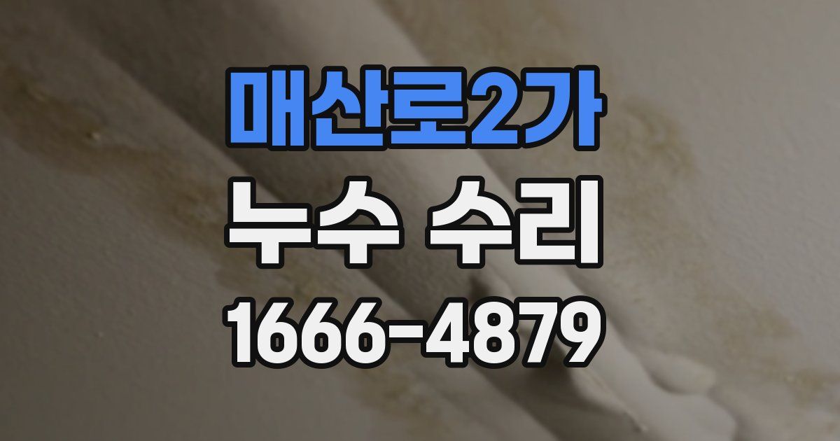 매산로2가 누수 수리