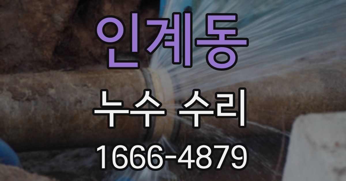 인계동 누수 수리