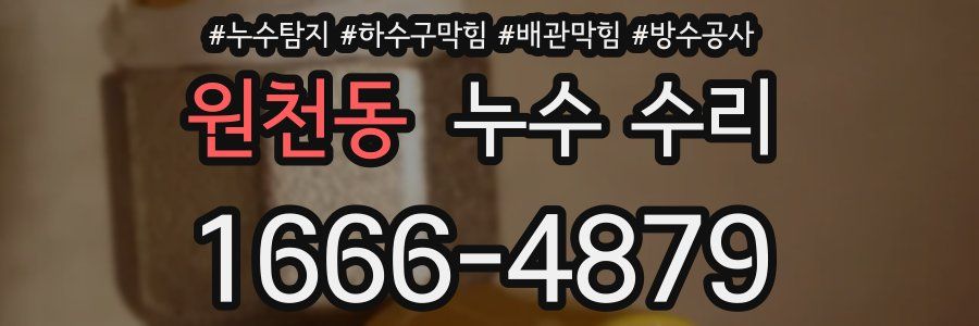 원천동 누수 수리