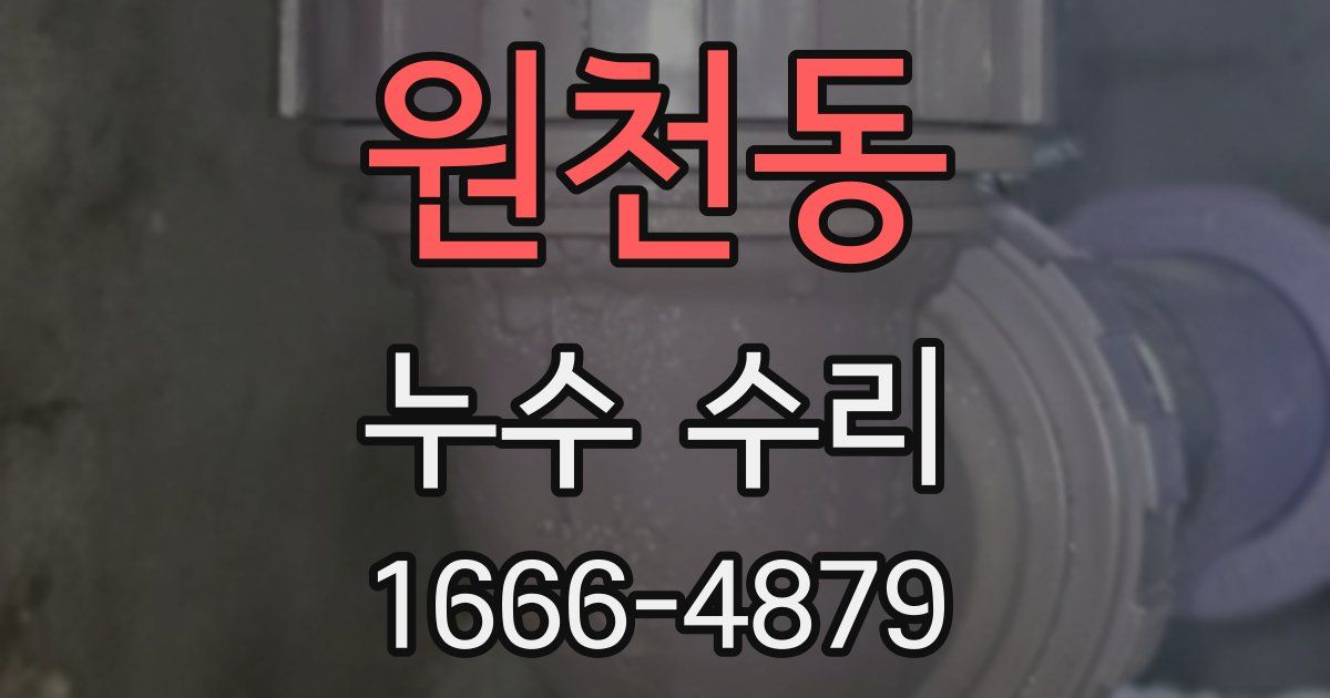 원천동 누수 수리
