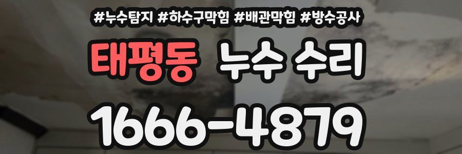 태평동 누수 수리