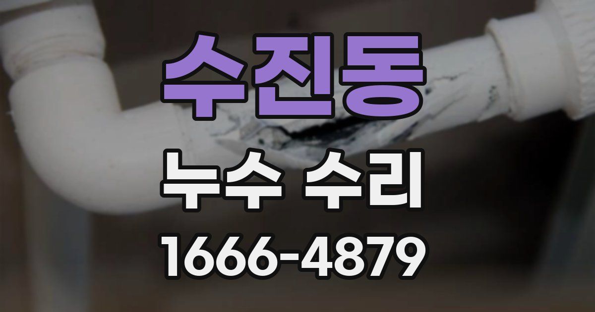 수진동 누수 수리