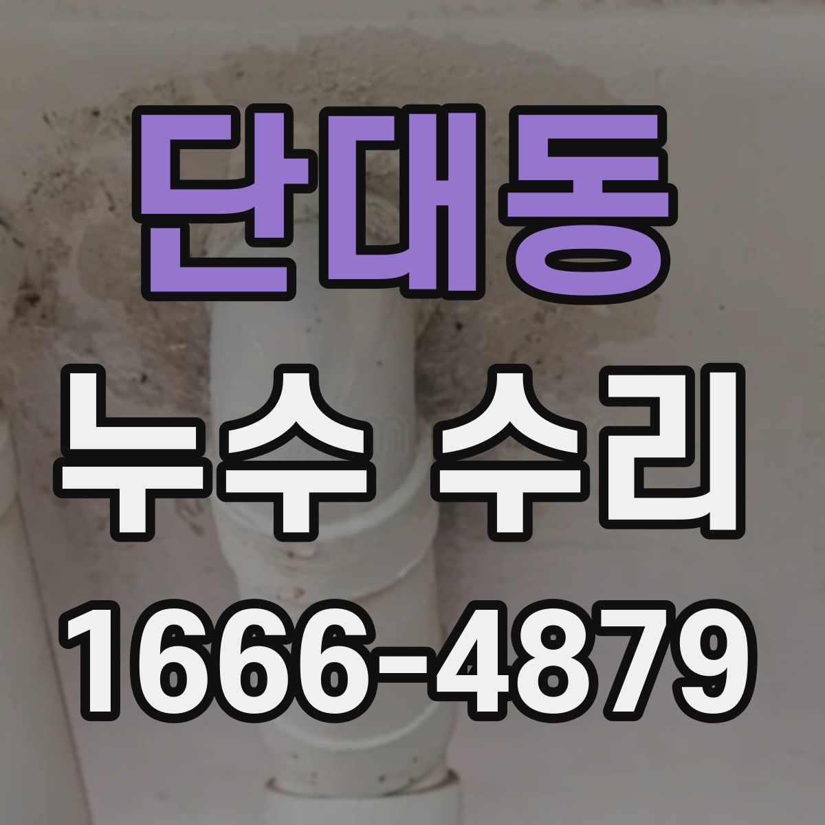 단대동 누수 수리