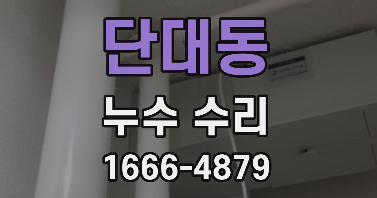 단대동 누수 수리