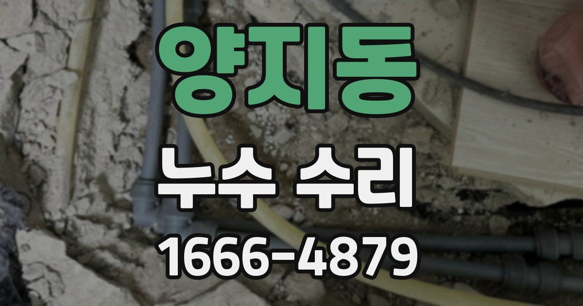 양지동 누수 수리