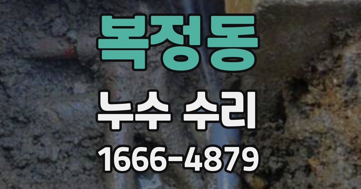 복정동 누수 수리