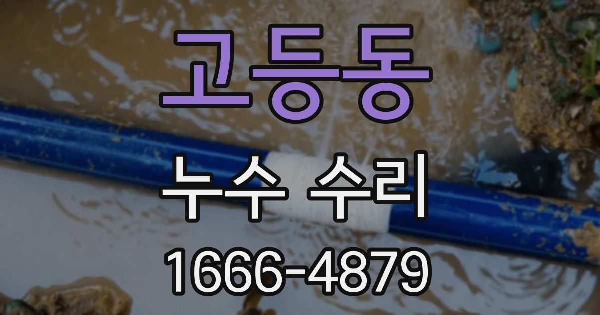 고등동 누수 수리
