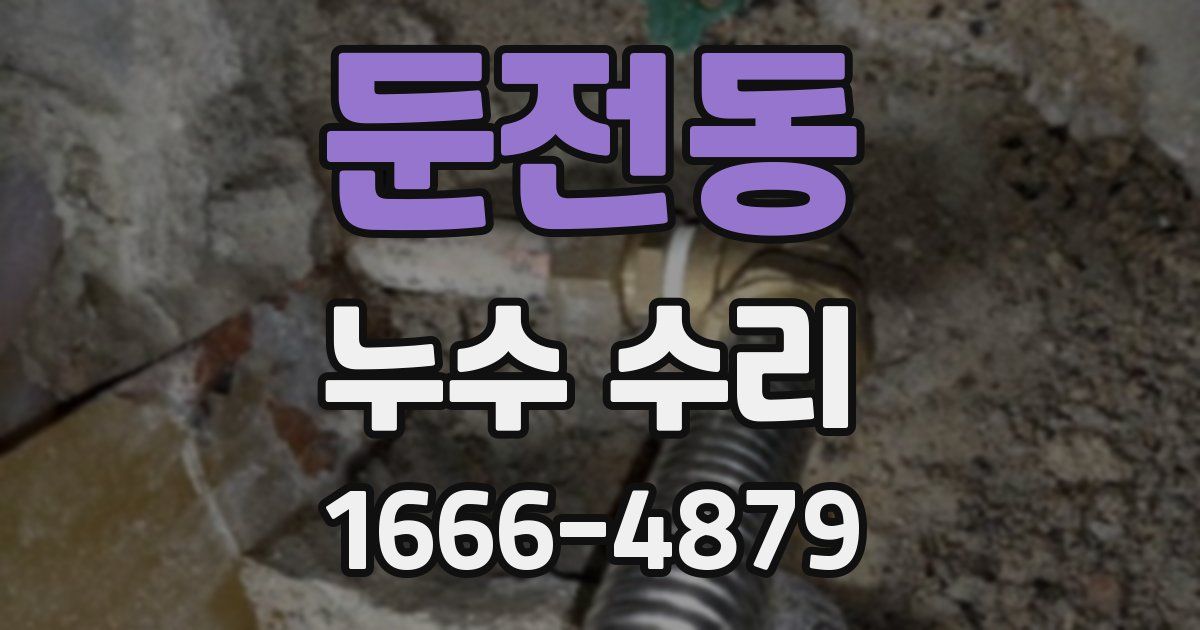 둔전동 누수 수리