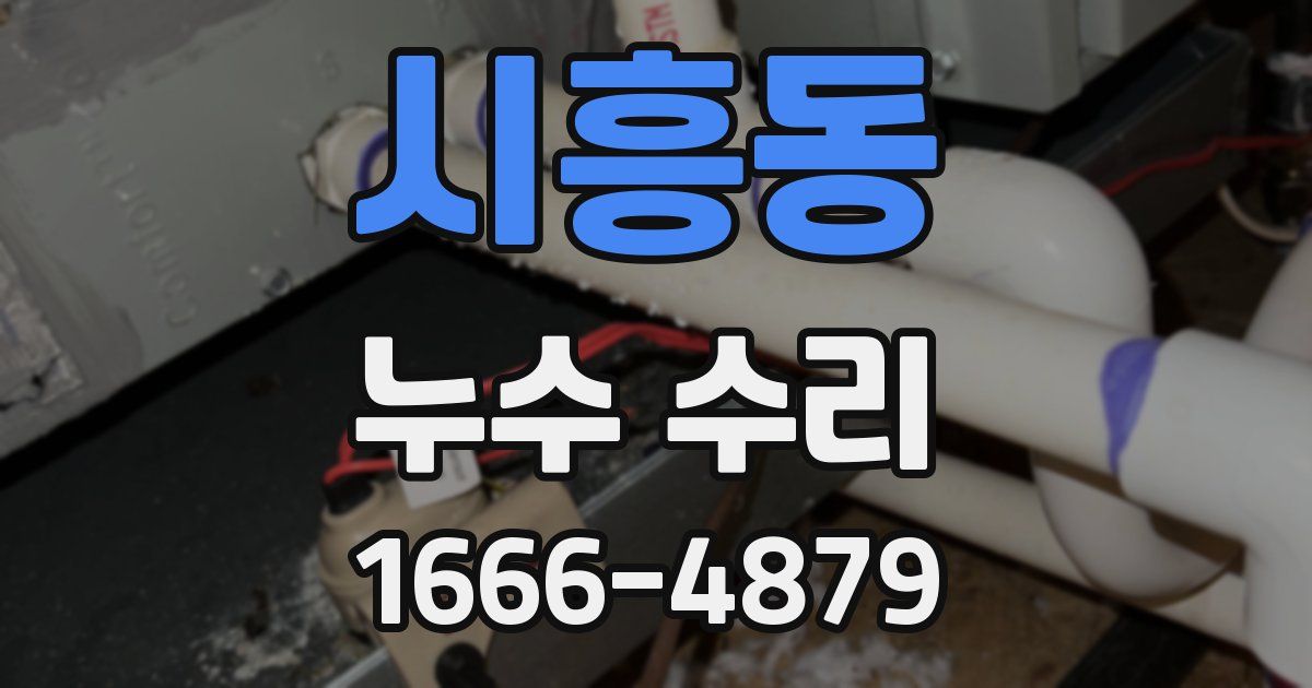 시흥동 누수 수리