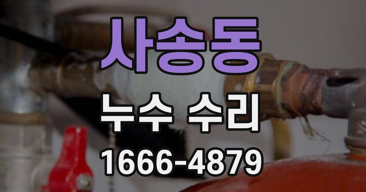 사송동 누수 수리