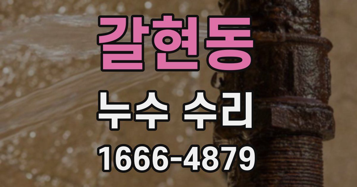 갈현동 누수 수리