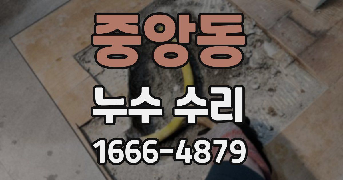 중앙동 누수 수리
