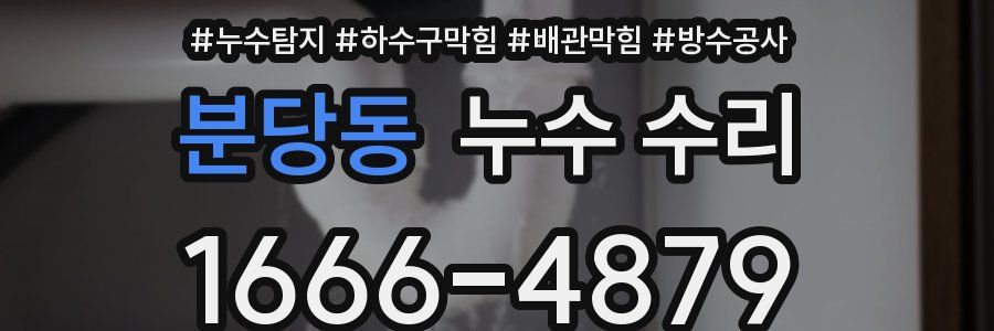 분당동 누수 수리