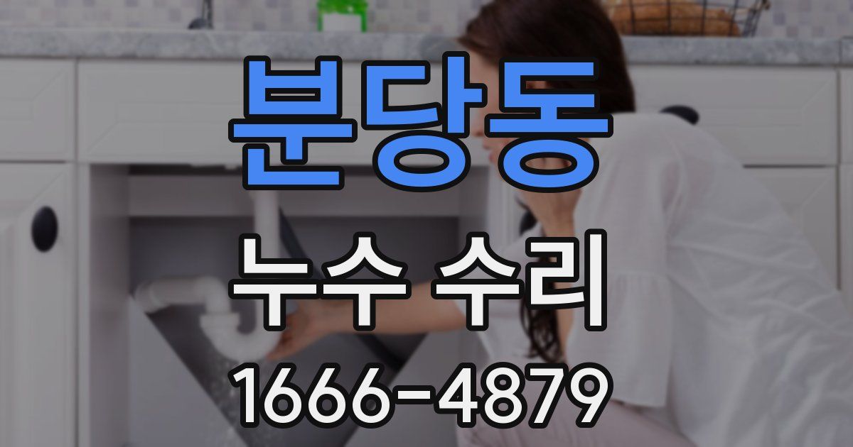 분당동 누수 수리
