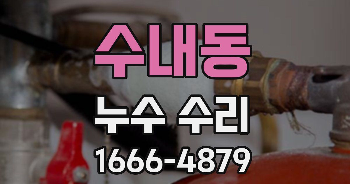 수내동 누수 수리