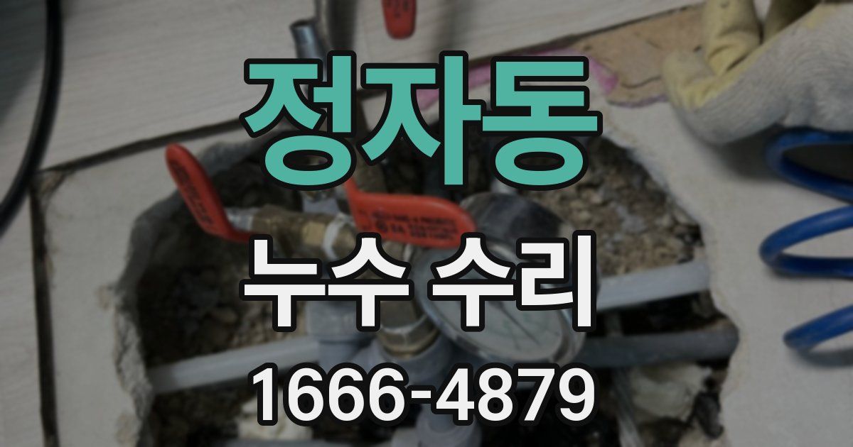 정자동 누수 수리