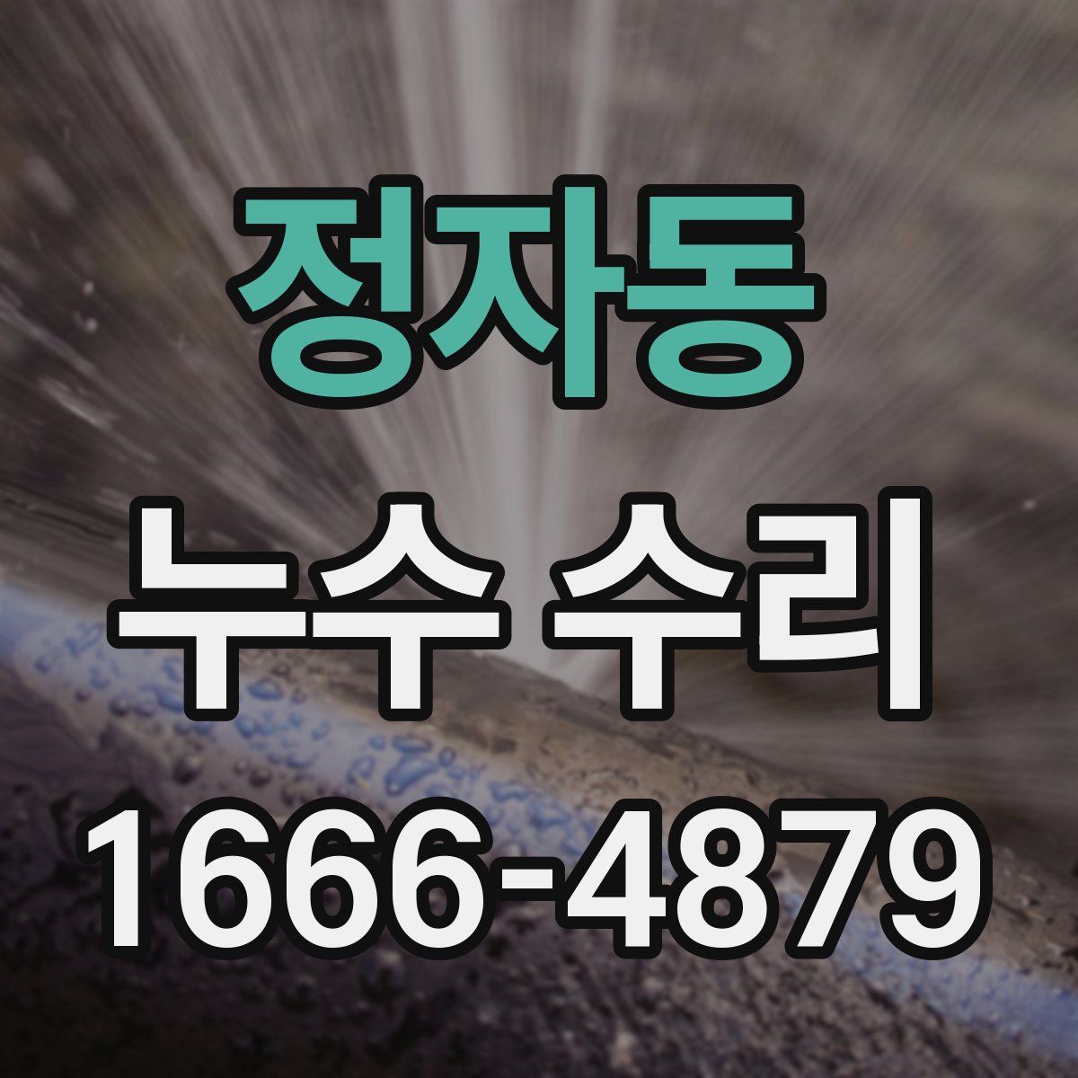 정자동 누수 수리