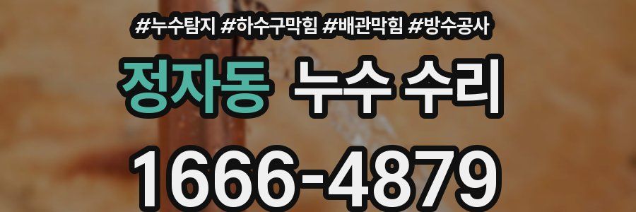 정자동 누수 수리