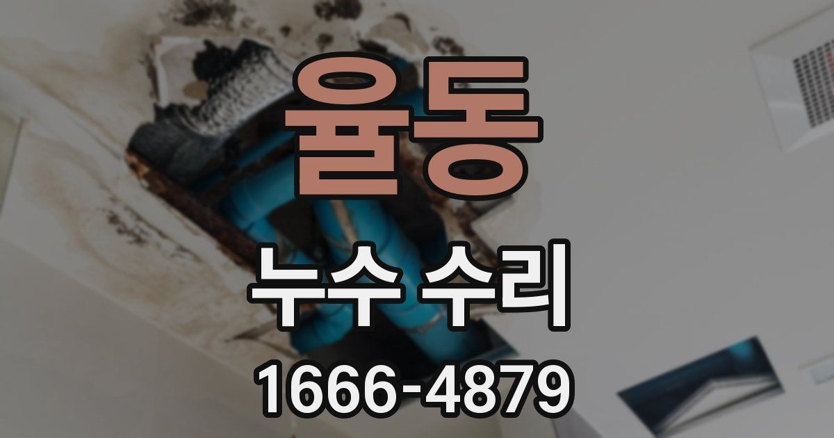 율동 누수 수리