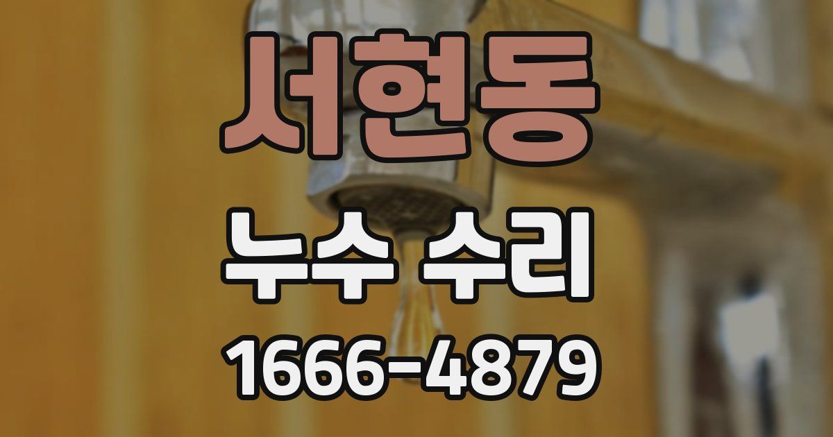 서현동 누수 수리