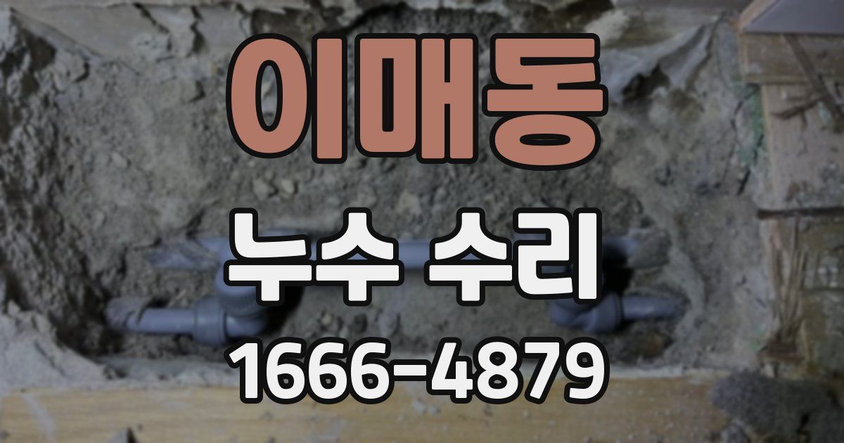 이매동 누수 수리