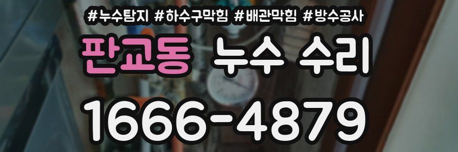 판교동 누수 수리