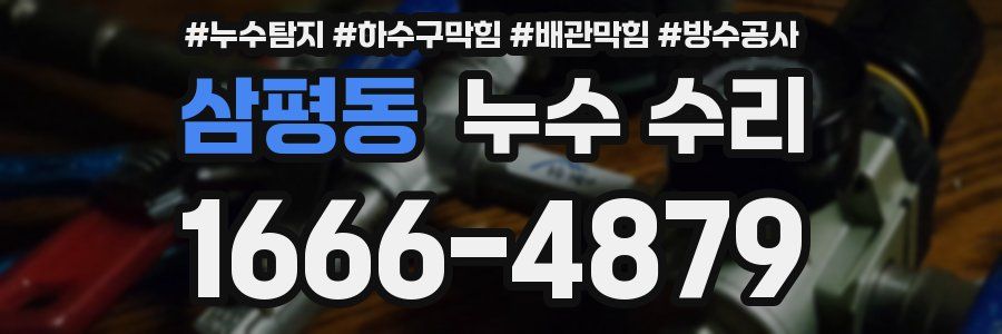 삼평동 누수 수리