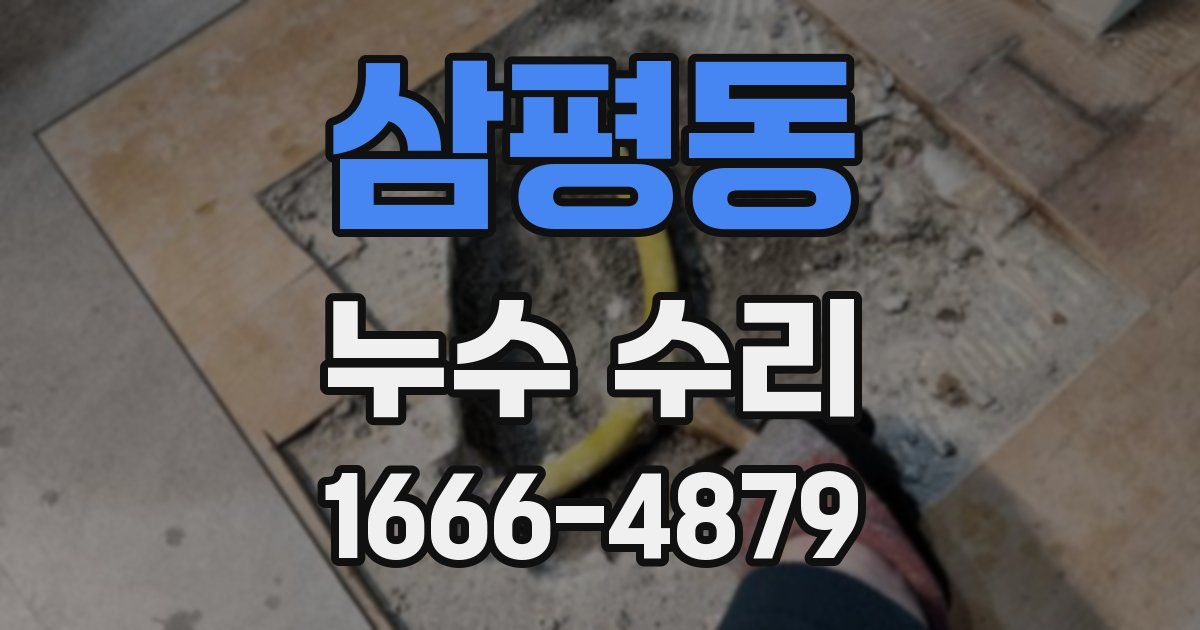 삼평동 누수 수리
