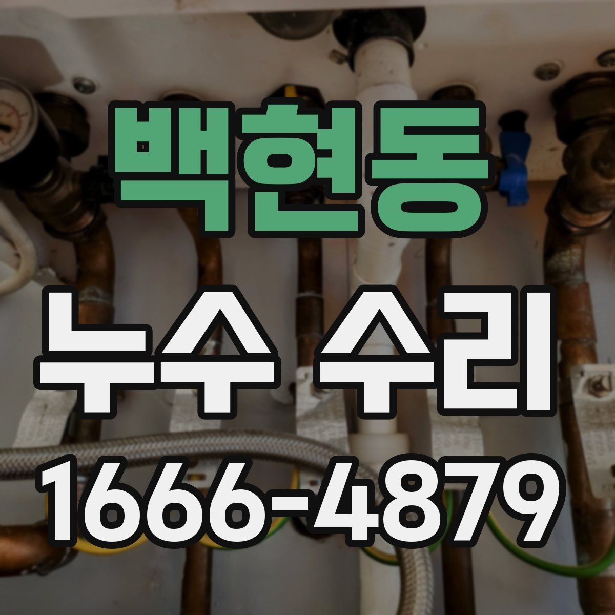 백현동 누수 수리