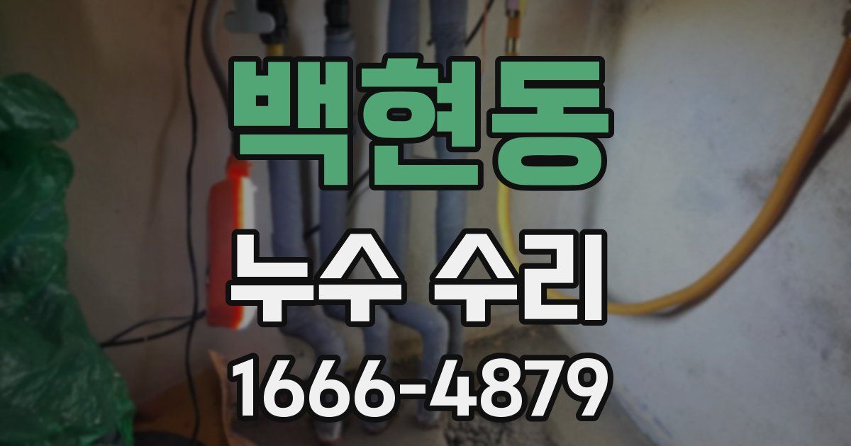 백현동 누수 수리