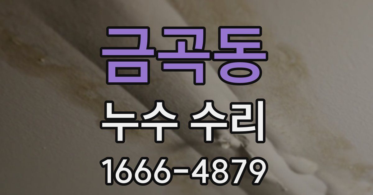 금곡동 누수 수리
