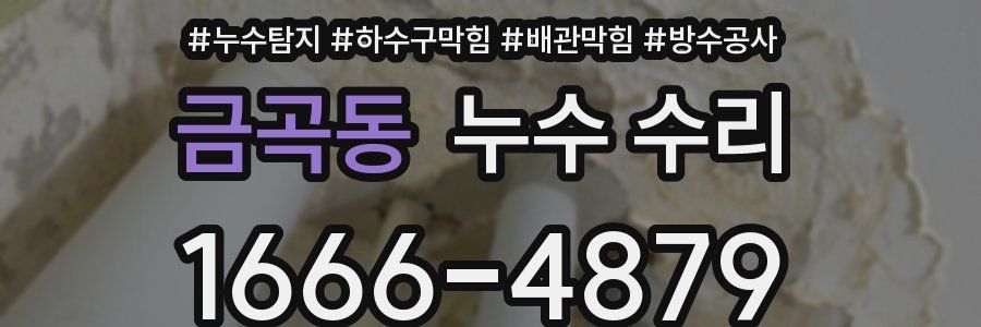 금곡동 누수 수리