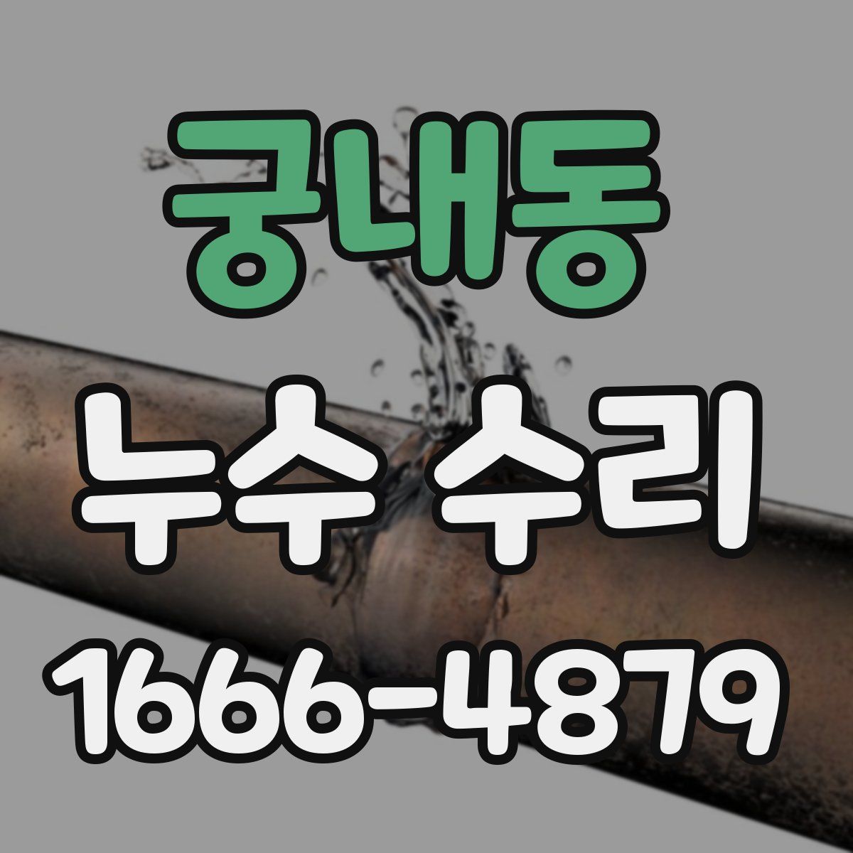 궁내동 누수 수리