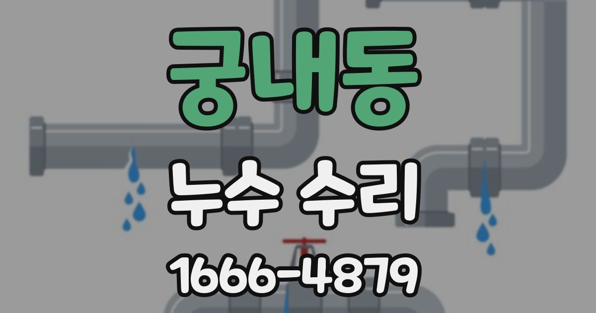 궁내동 누수 수리