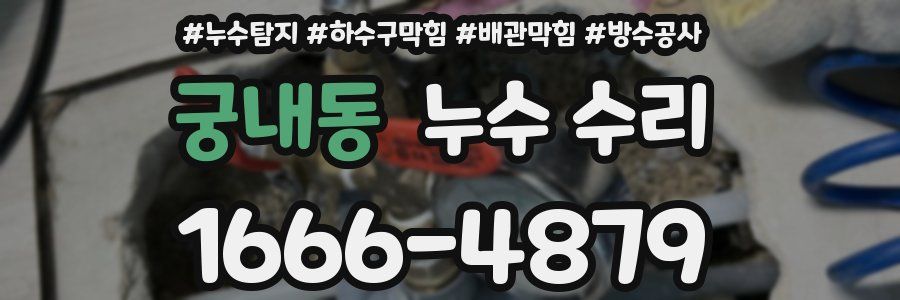 궁내동 누수 수리