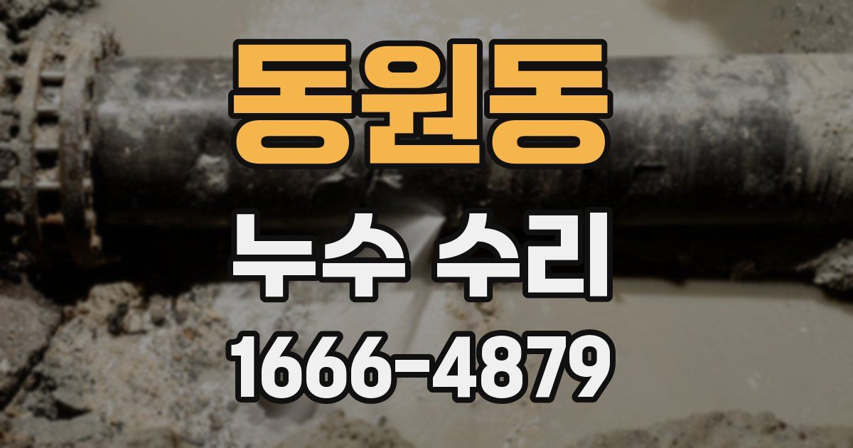 동원동 누수 수리