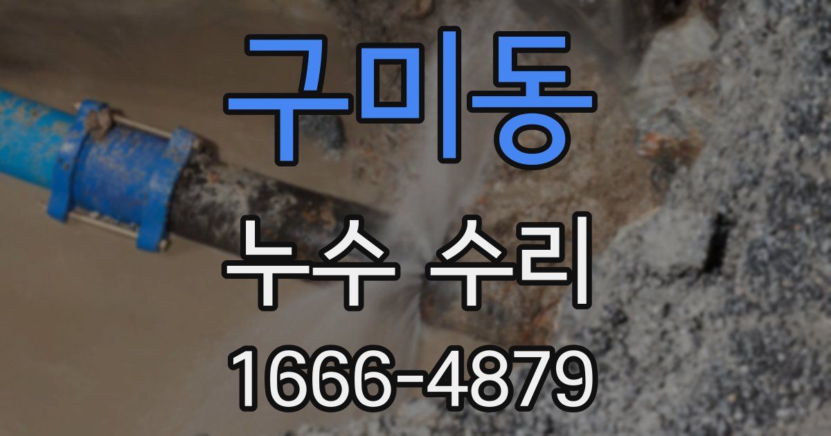 구미동 누수 수리