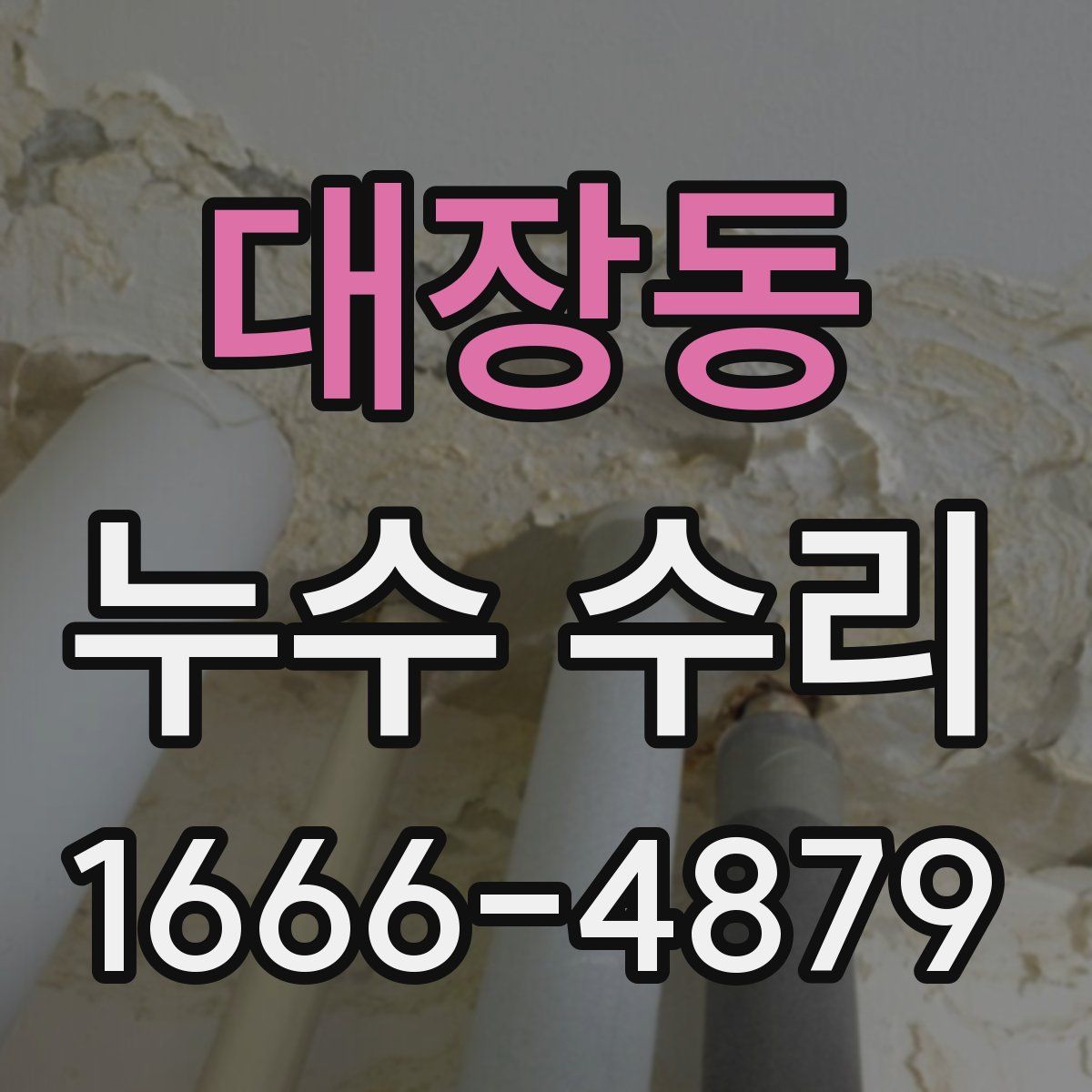 대장동 누수 수리